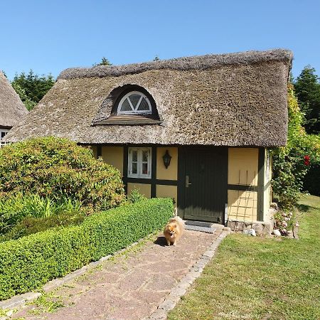 Zara'S B&B Horsens Dış mekan fotoğraf