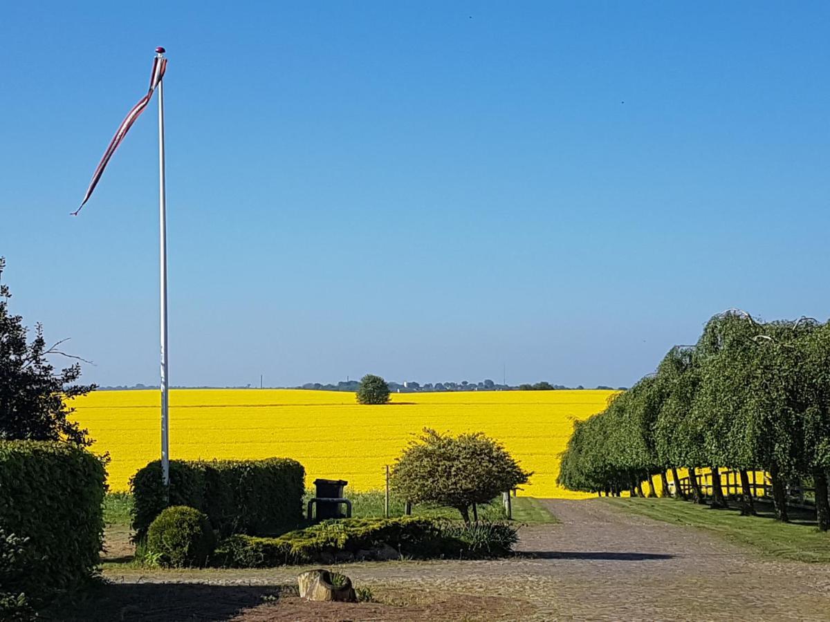 Zara'S B&B Horsens Dış mekan fotoğraf