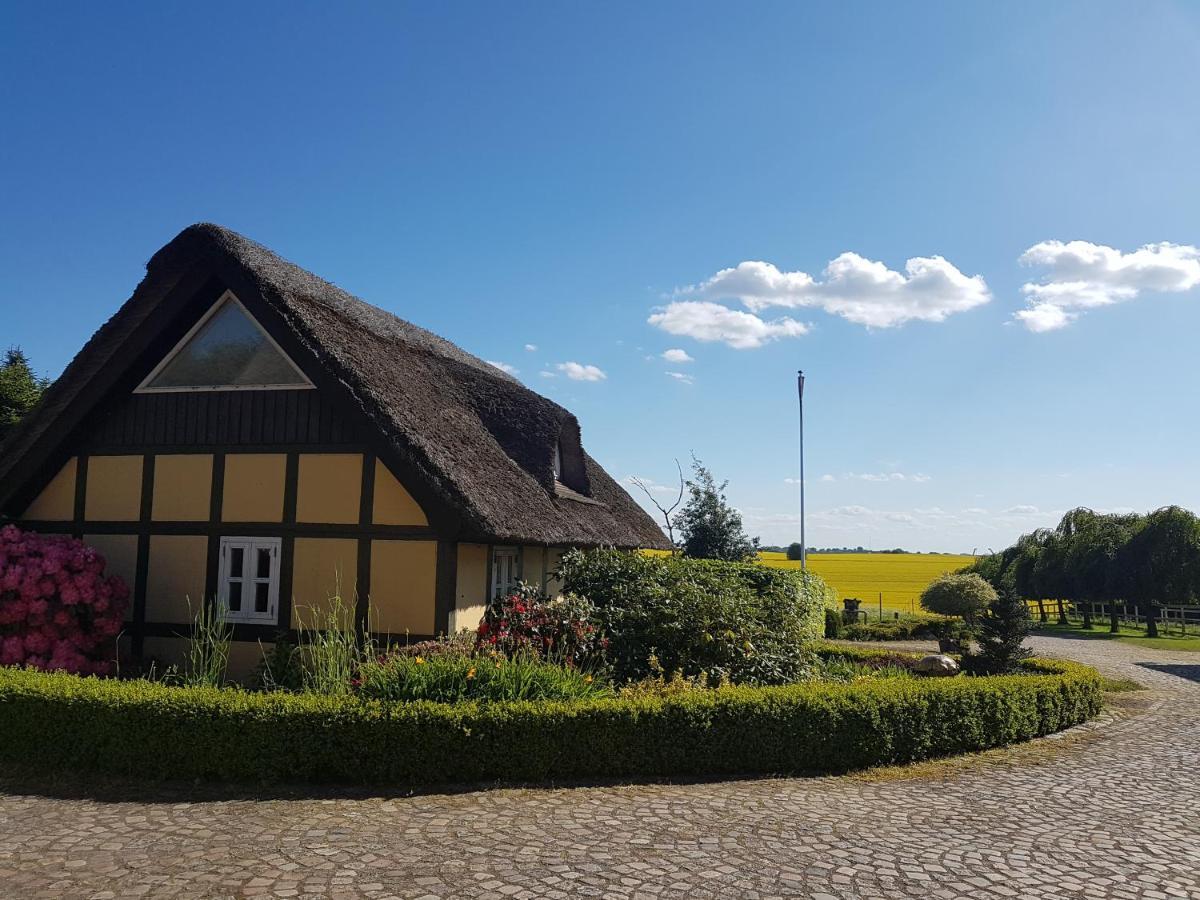Zara'S B&B Horsens Dış mekan fotoğraf