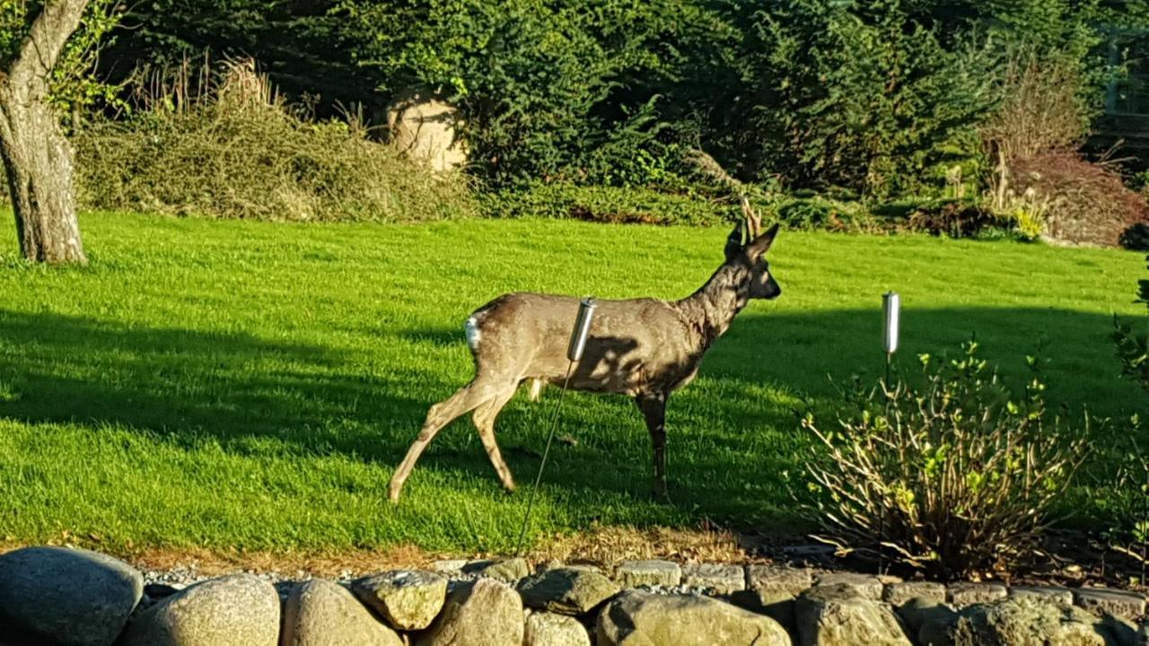 Zara'S B&B Horsens Dış mekan fotoğraf