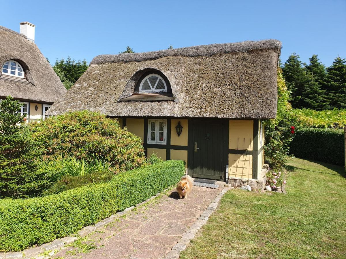Zara'S B&B Horsens Dış mekan fotoğraf
