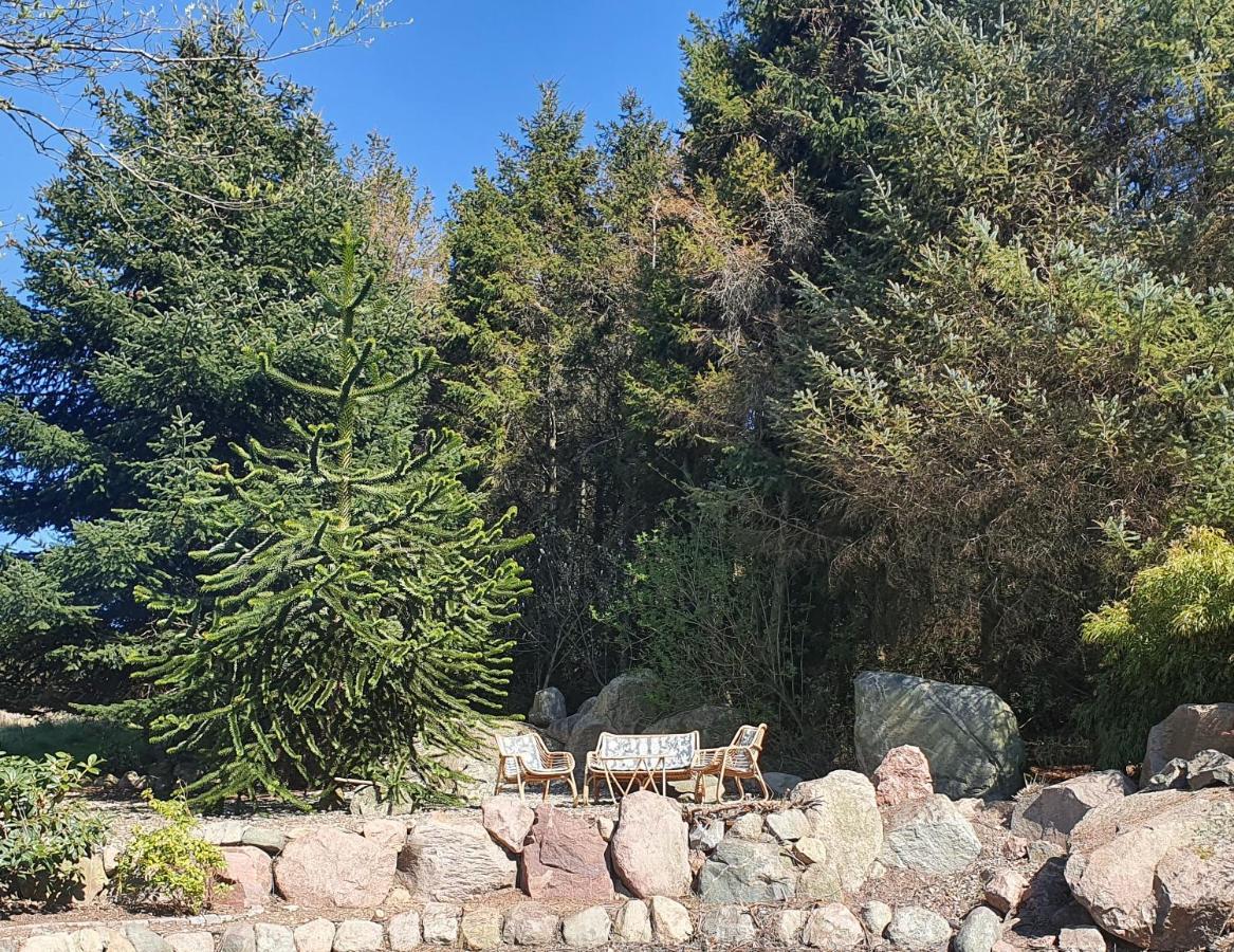 Zara'S B&B Horsens Dış mekan fotoğraf