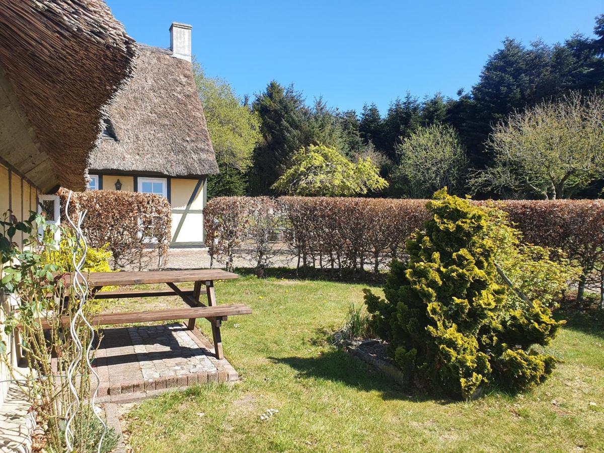Zara'S B&B Horsens Dış mekan fotoğraf